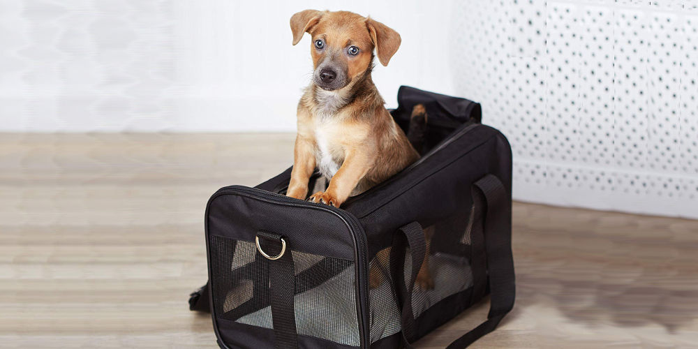 Pet Carriers 